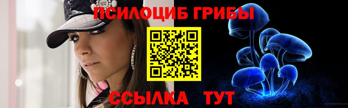 Галлюциногенные грибы Psilocybe Ленинск-Кузнецкий
